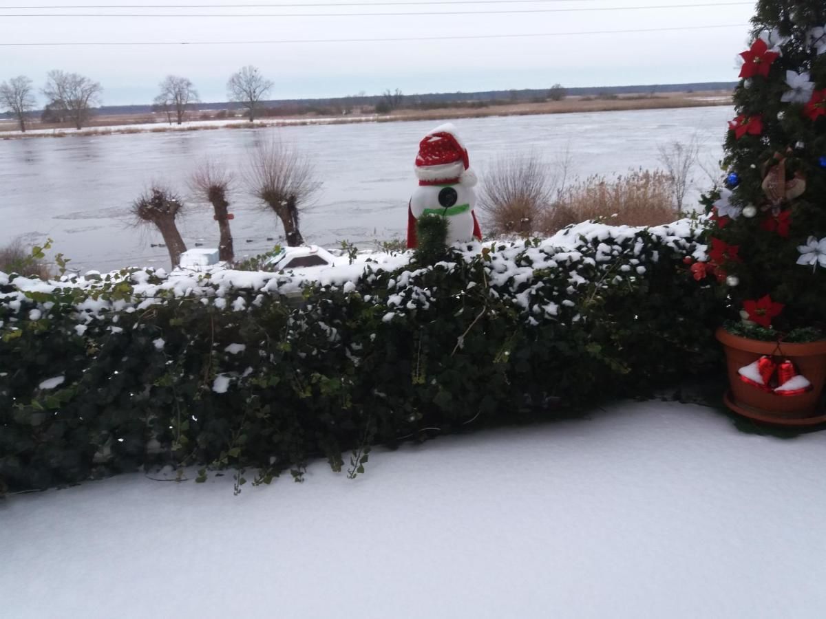 Проживание в семье Nad Odra Widuchowa