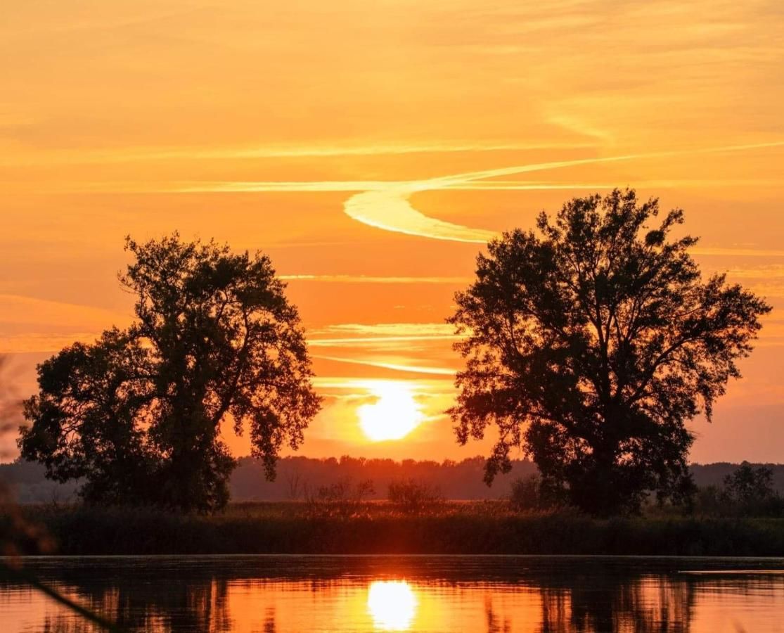 Проживание в семье Nad Odra Widuchowa